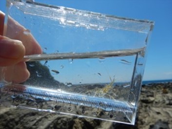 生物同好会　画像5